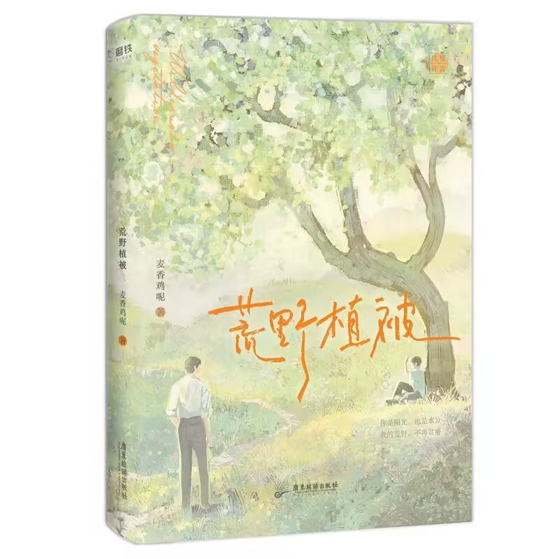 荒野植被 特签本飞机盒