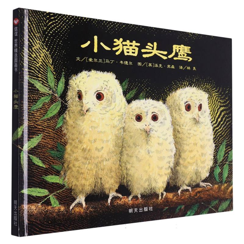 小猫头鹰（精）