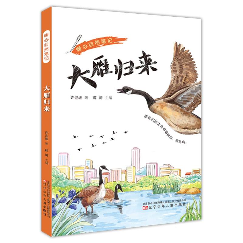 暖心自然笔记:大雁归来