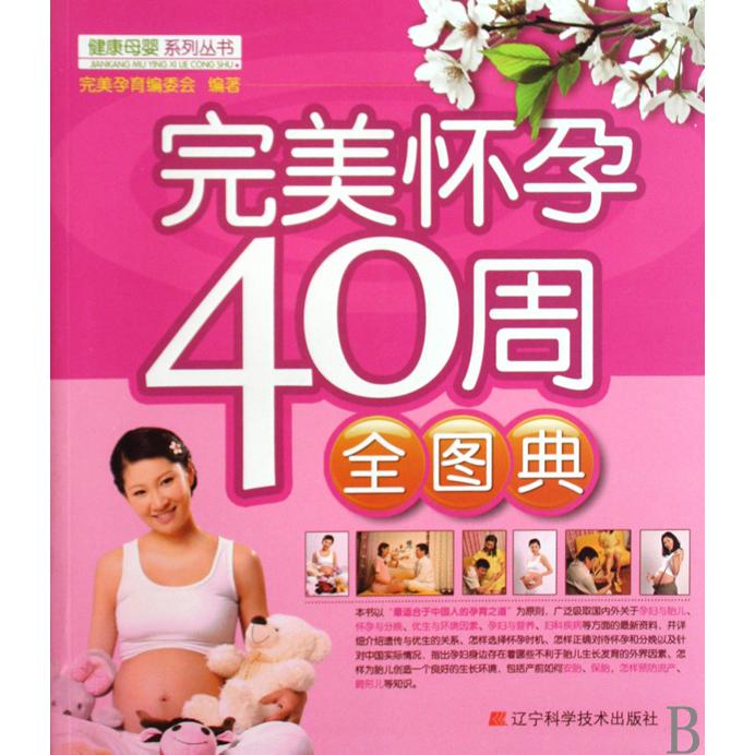 完美怀孕40周全图典/健康母婴系列丛书