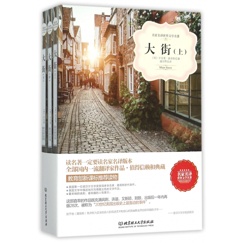 大街(上中下)/名家名译世界文学名著