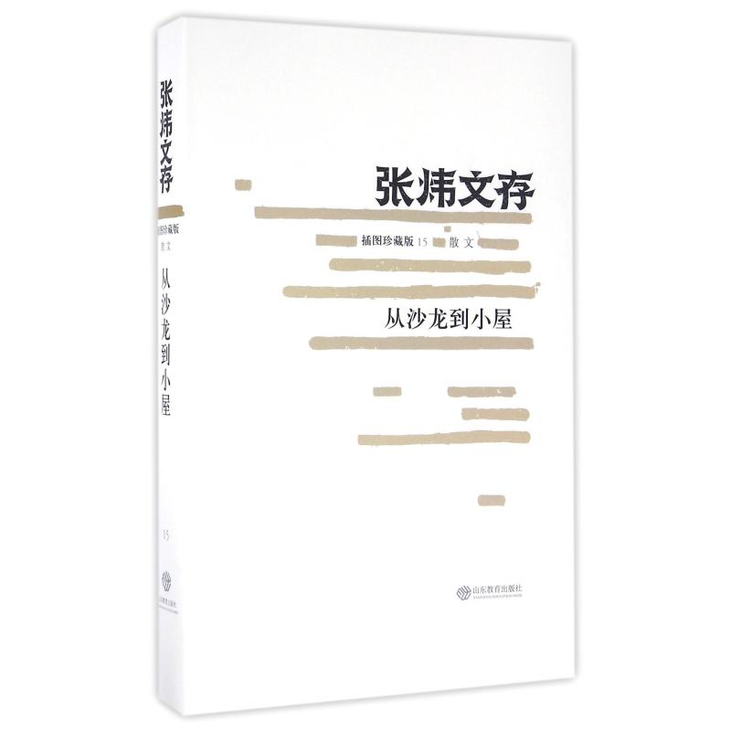 从沙龙到小屋（插图珍藏版）/张炜文存