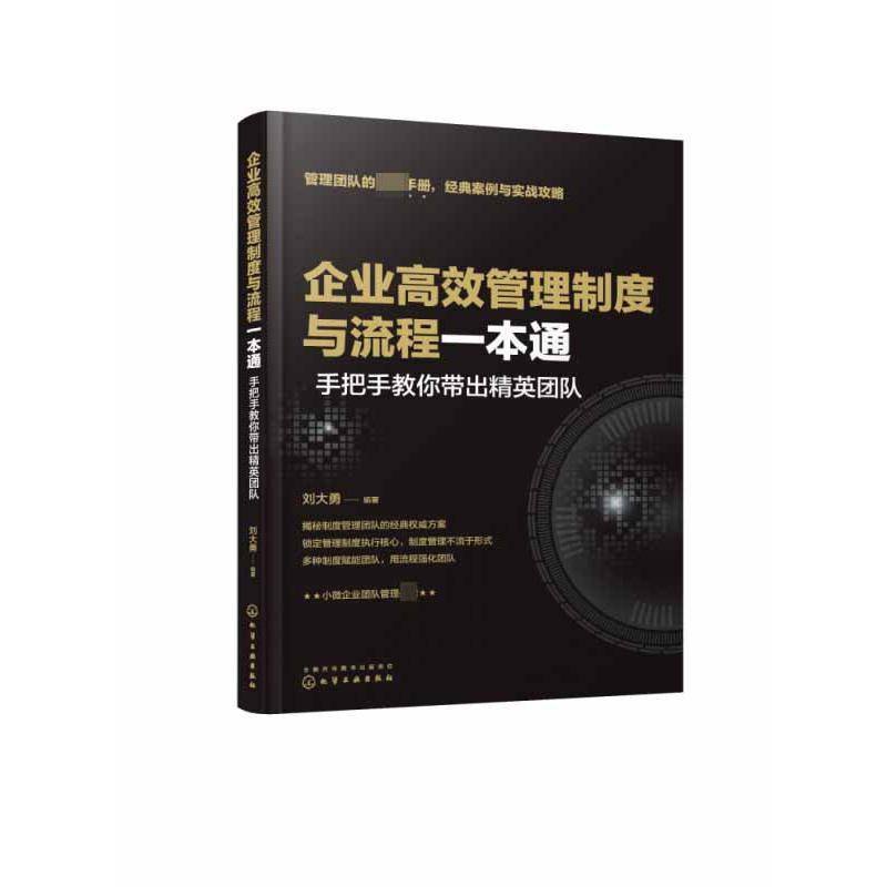 企业高效管理制度与流程一本通(手把手教你带出精英团队)