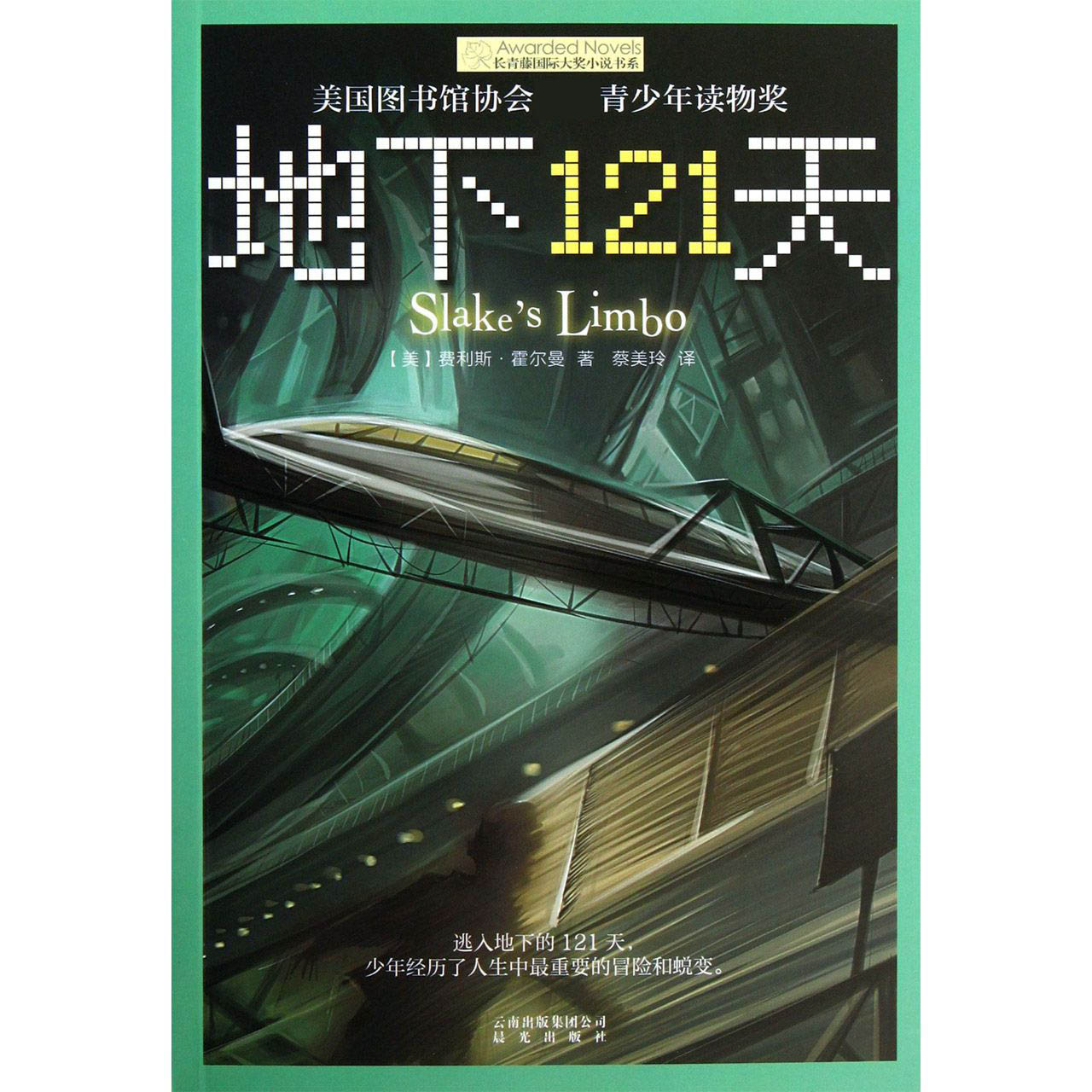 地下121天/长青藤国际大奖小说书系