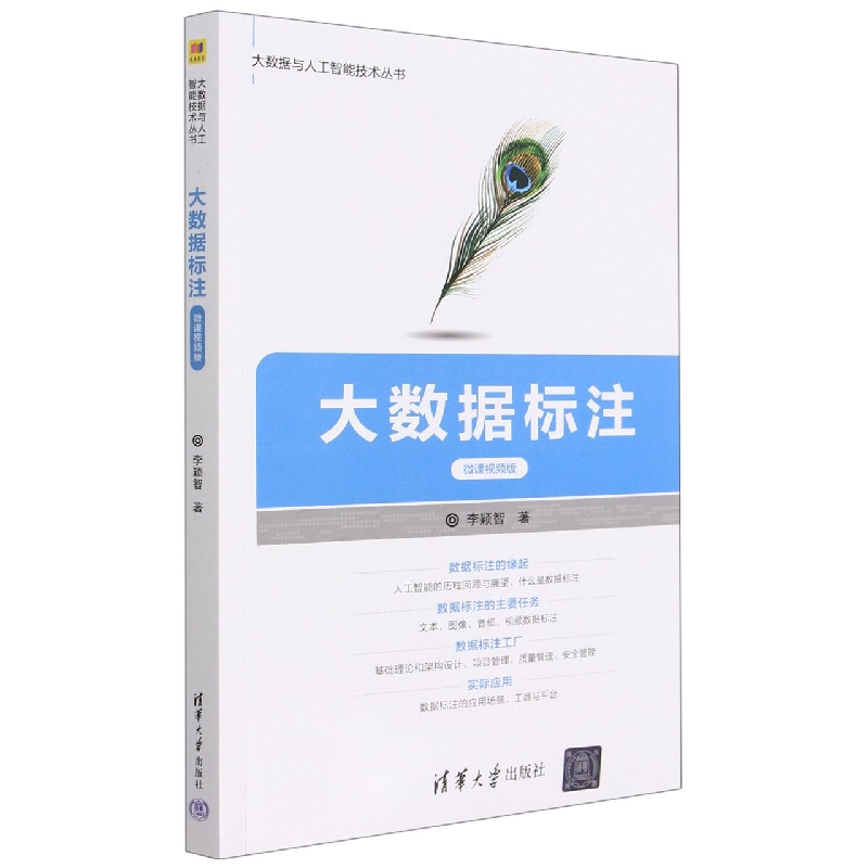 大数据标注(微课视频版)/大数据与人工智能技术丛书