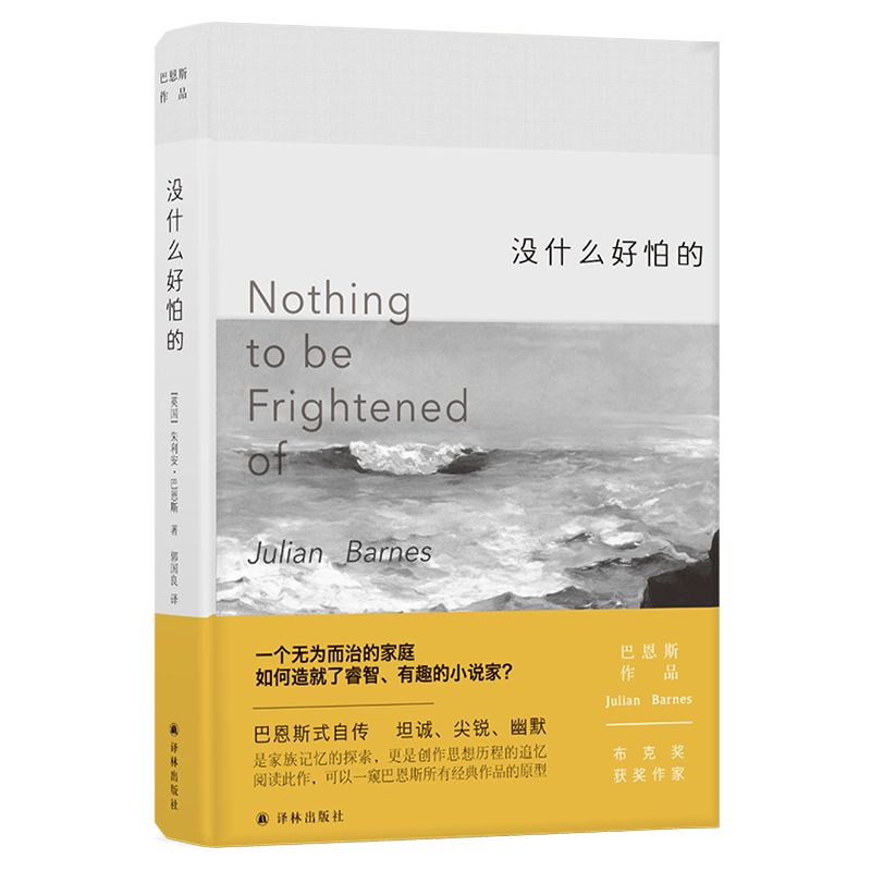 没什么好怕的(精)/巴恩斯作品