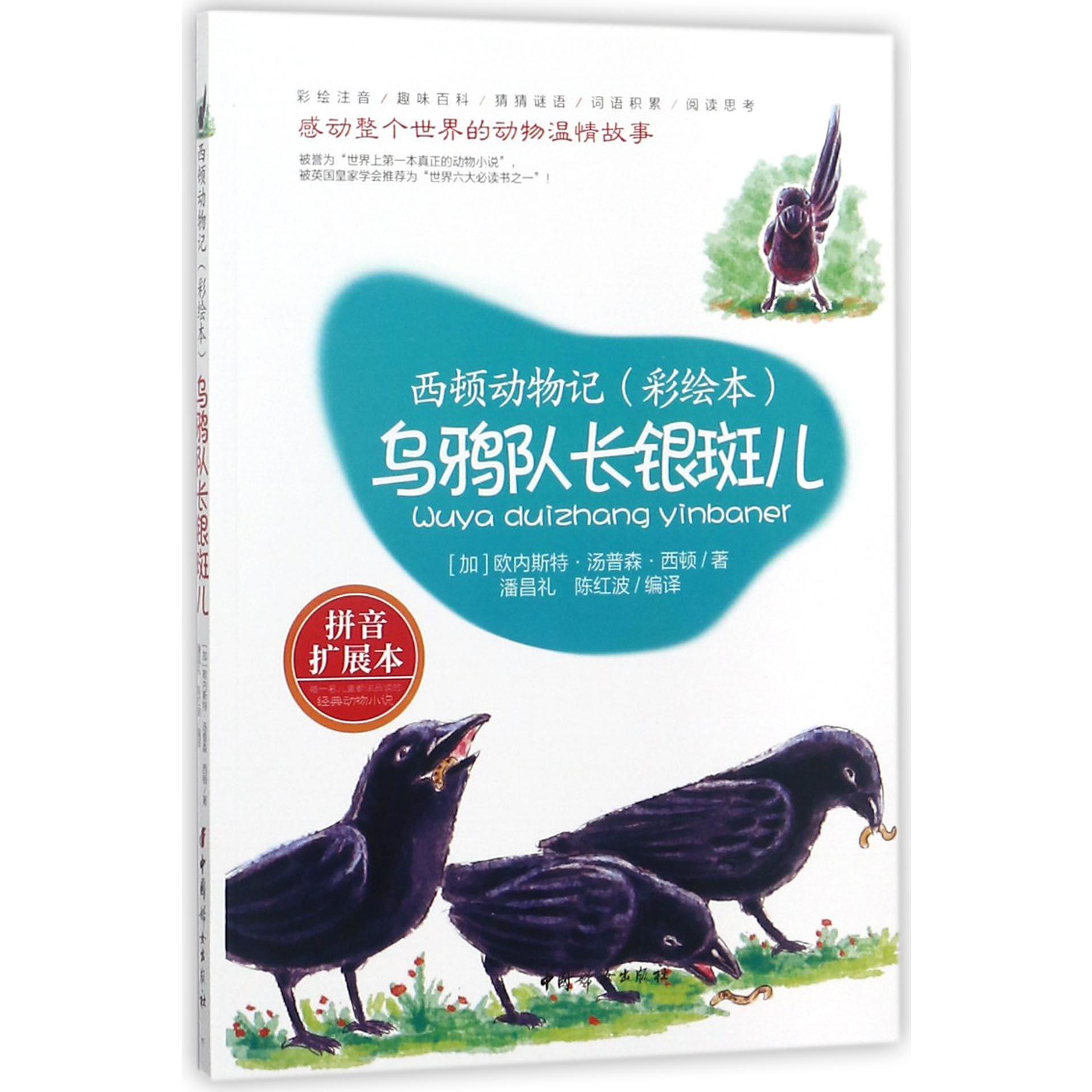 乌鸦队长银斑儿