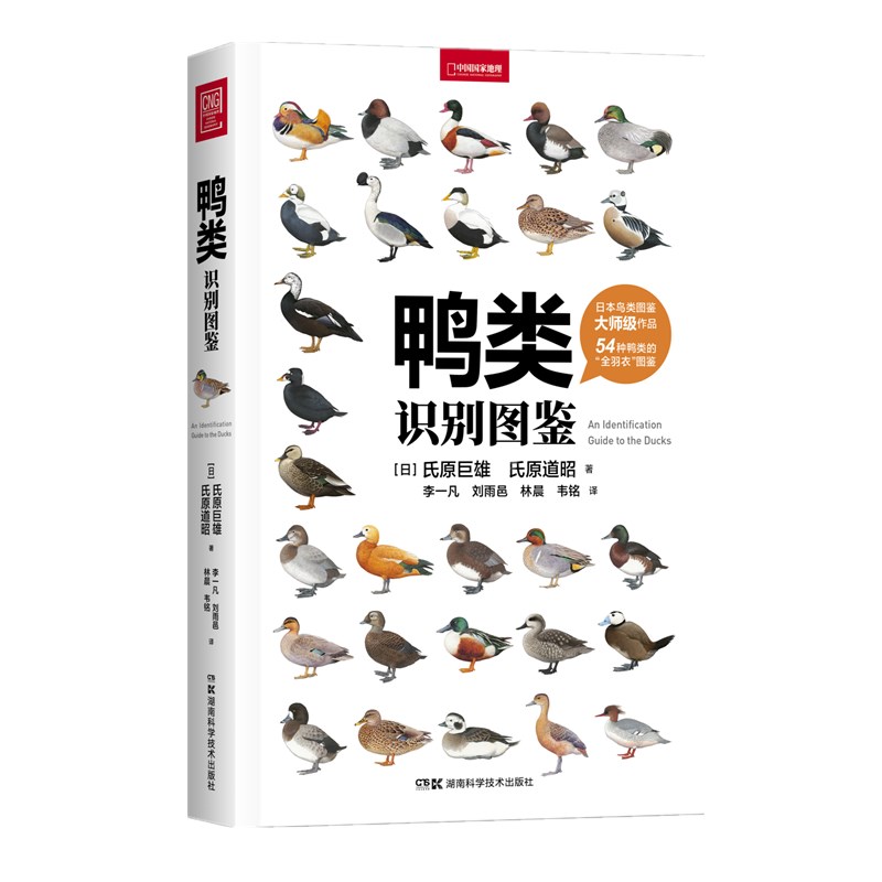 鸭类识别图鉴