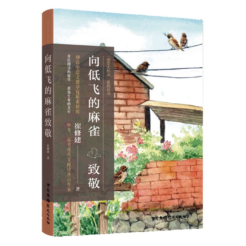 向低飞的麻雀致敬/语文大热点系列丛书