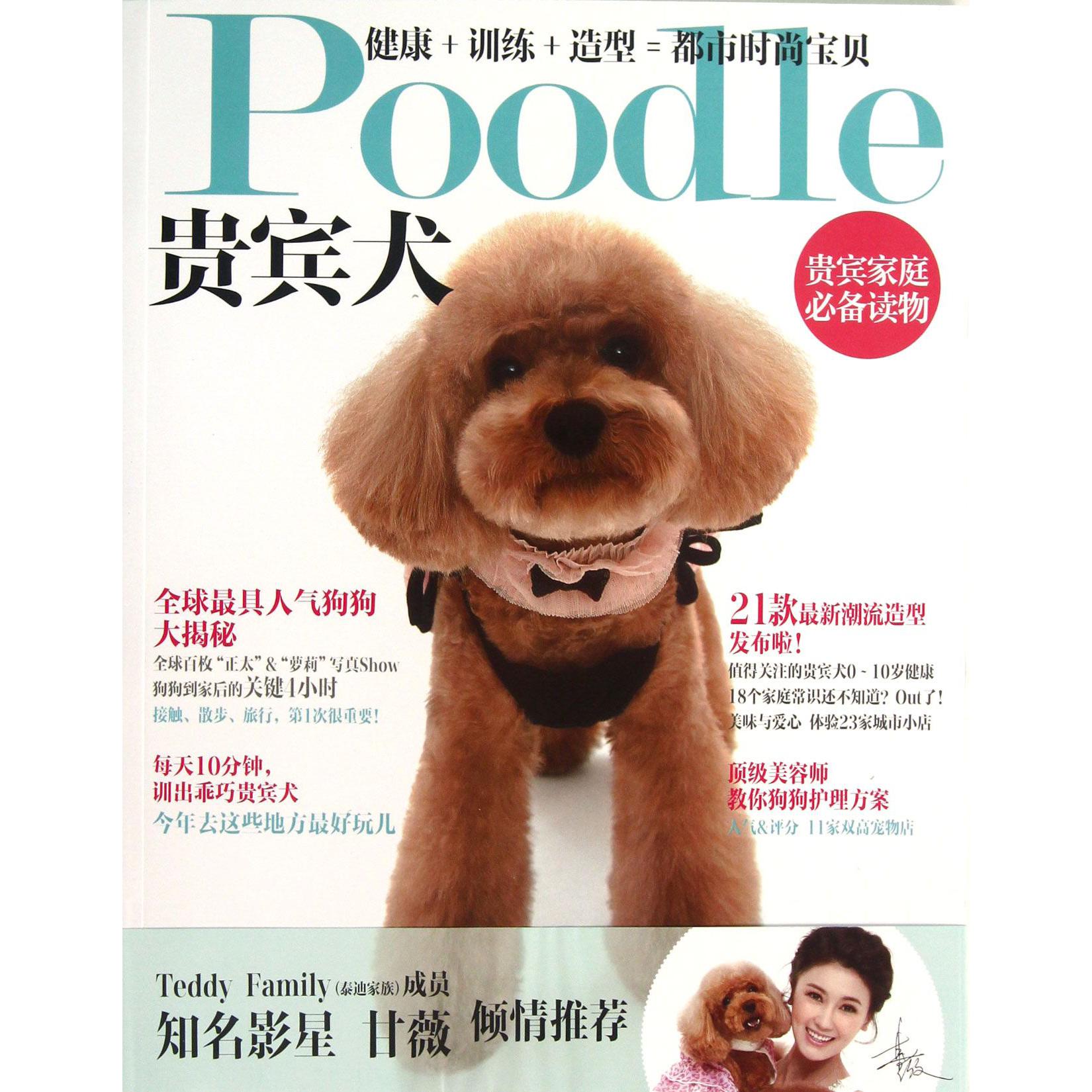 Poodle贵宾犬