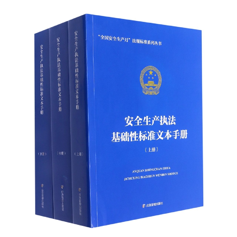 安全生产执法基础性标准文本手册