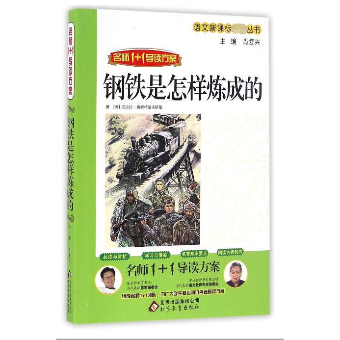 钢铁是怎样炼成的(名师1+1导读方案)/语文**丛书