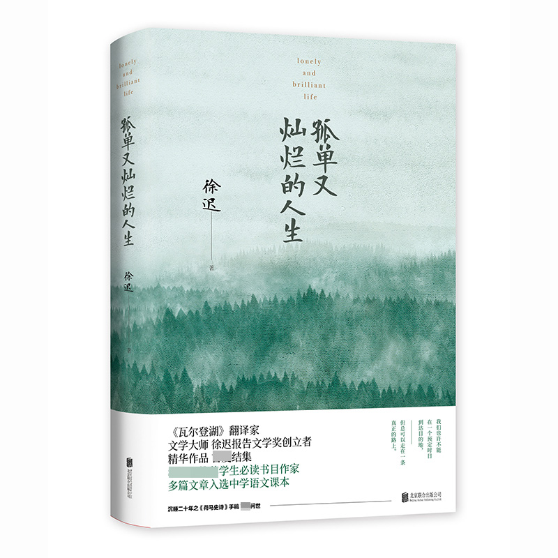 孤单又灿烂的人生