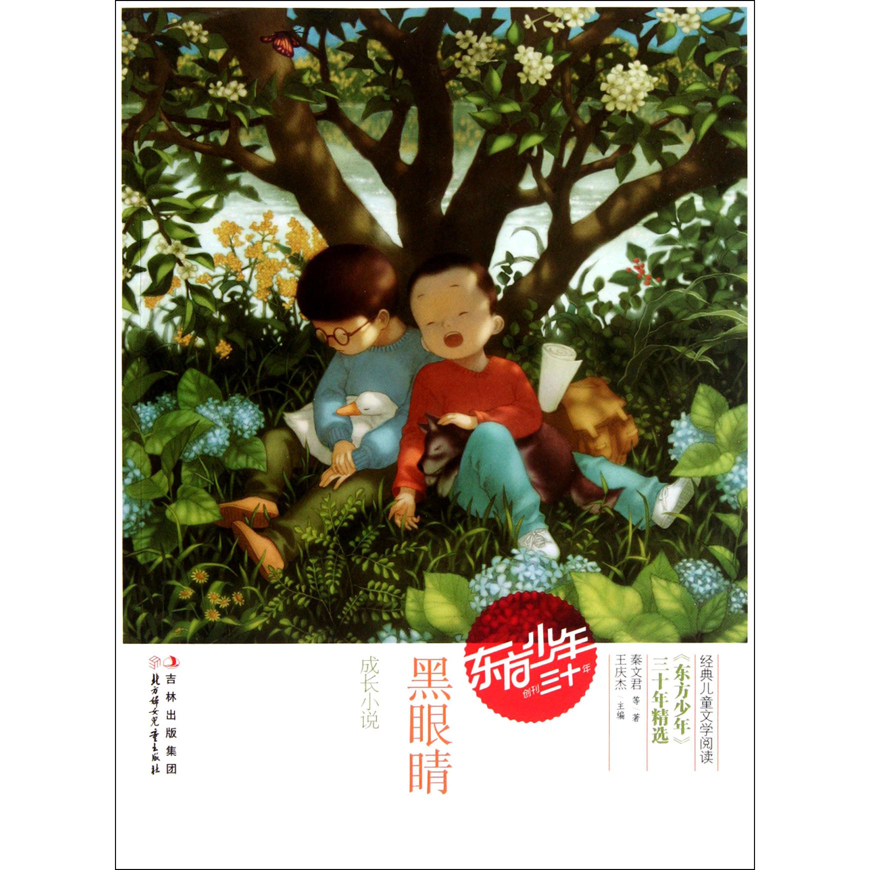 黑眼睛(成长小说)/东方少年三十年精选