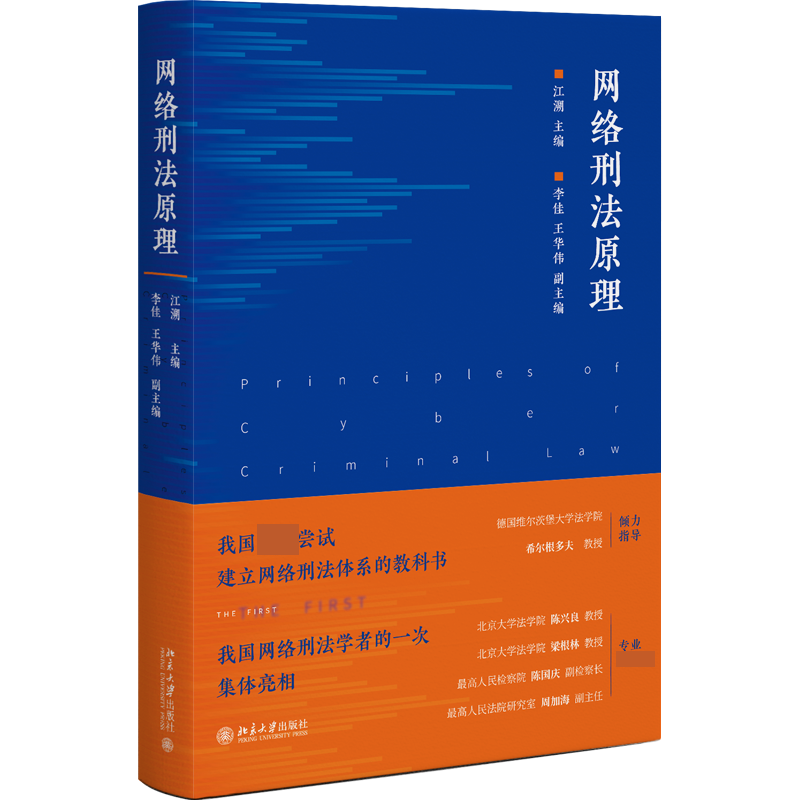 网络刑法原理