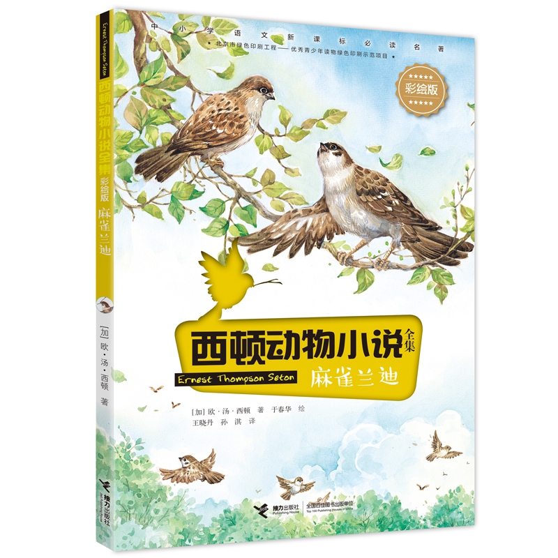 麻雀兰迪