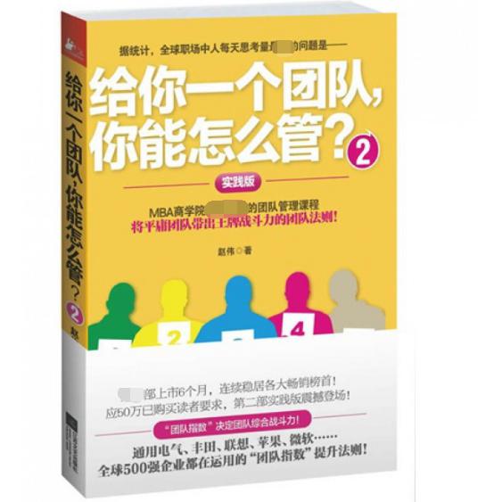 给你一个团队你能怎么管(2实践版)