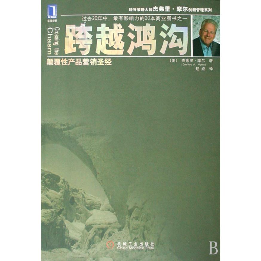 跨越鸿沟/杰弗里·摩尔创新管理系列