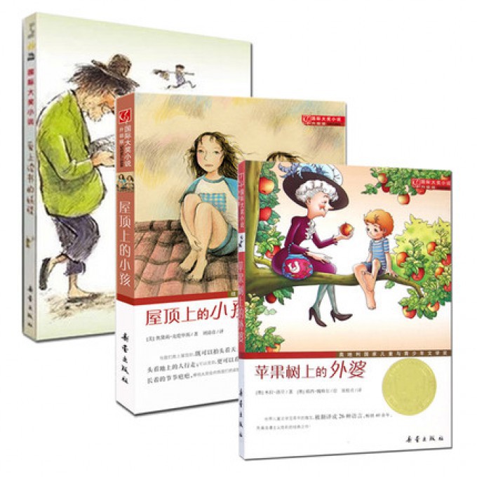 国际大奖小说系列（共3册）