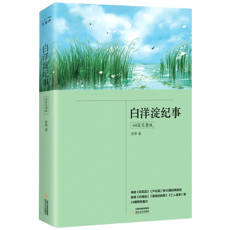 白洋淀纪事(64篇完整版)