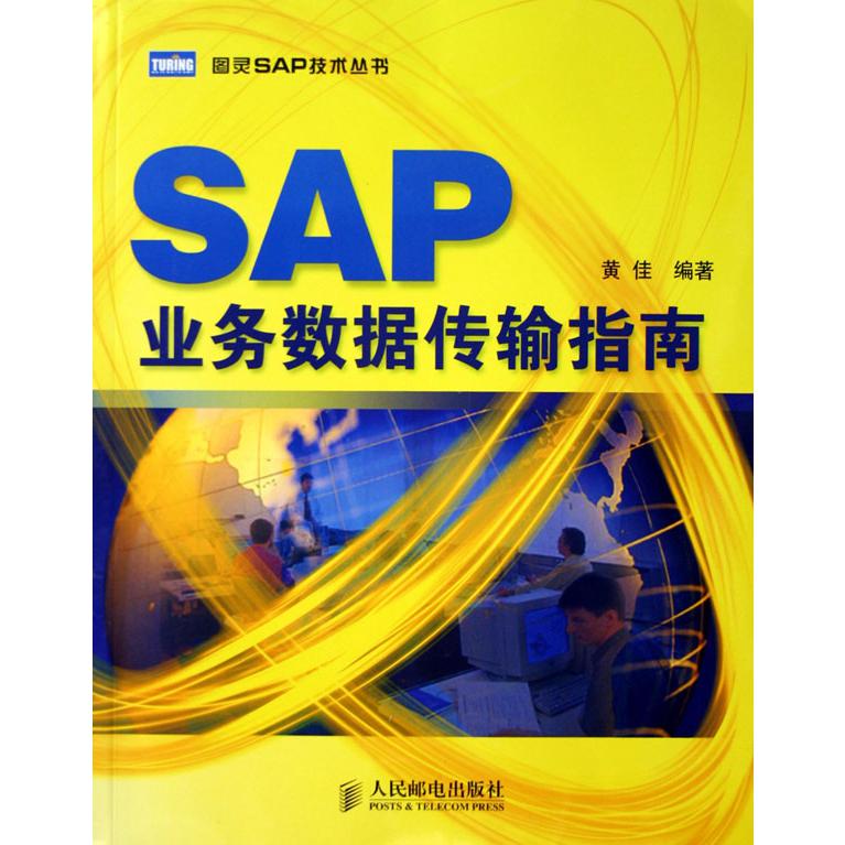 SAP业务数据传输指南/图灵SAP技术丛书