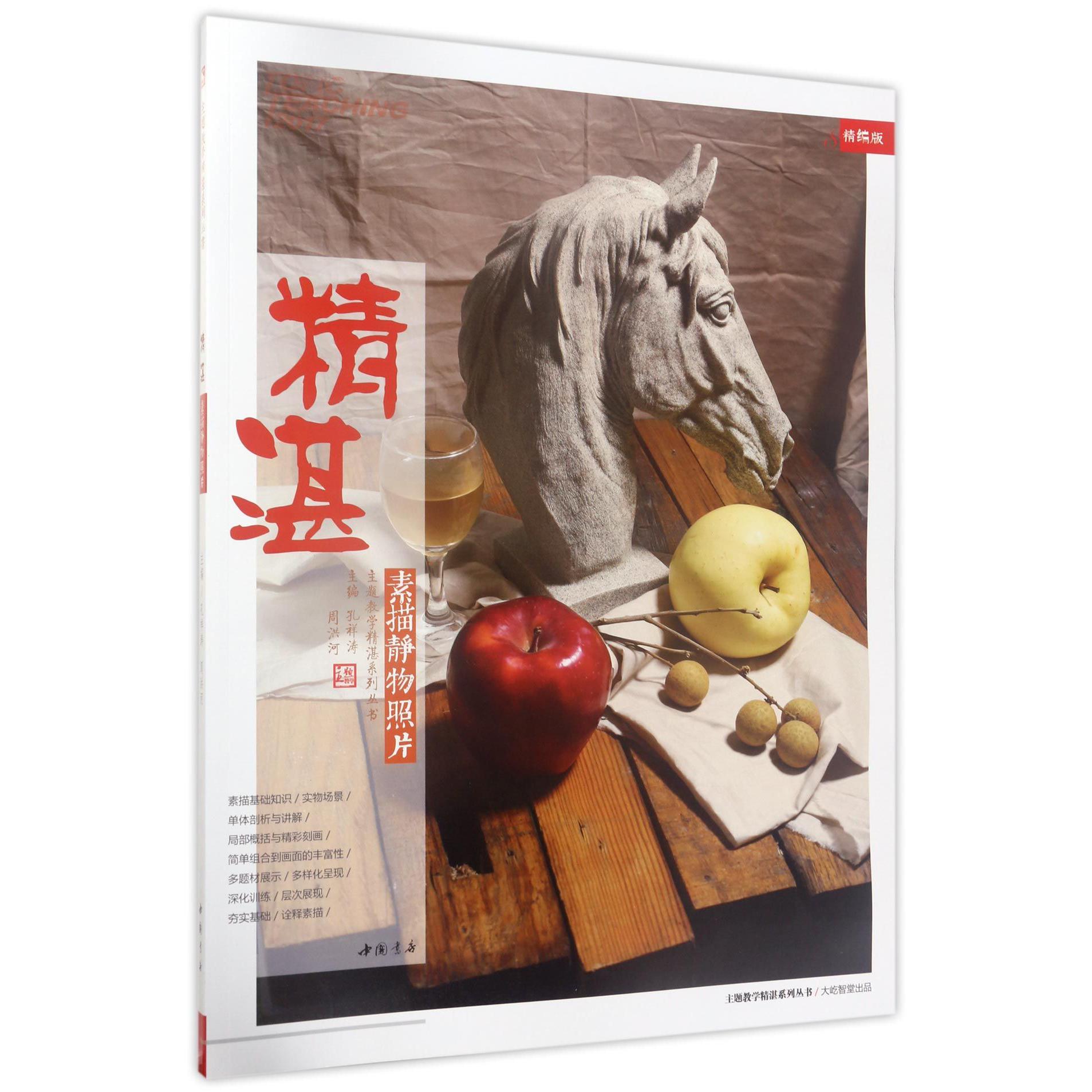 精湛素描静物照片（精编版）/主题教学精湛系列丛书