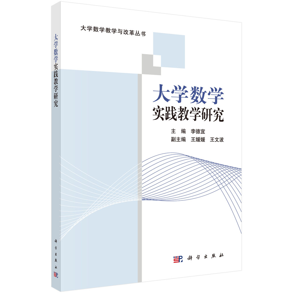 大学数学实践教学研究/大学数学教学与改革丛书