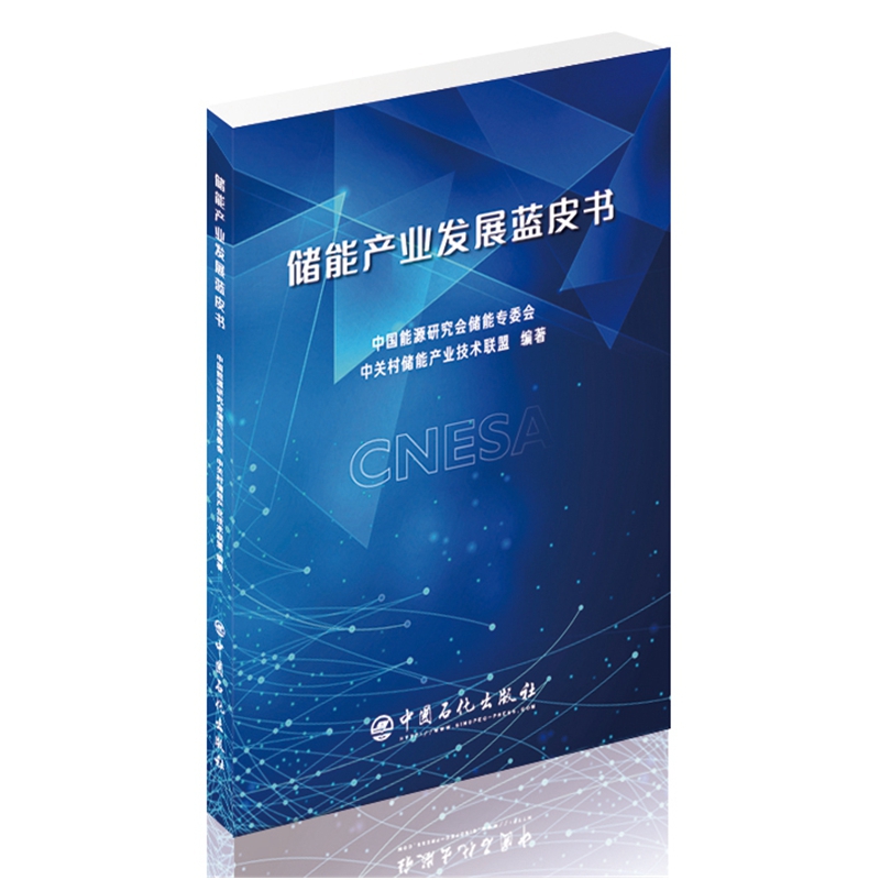 储能产业发展蓝皮书