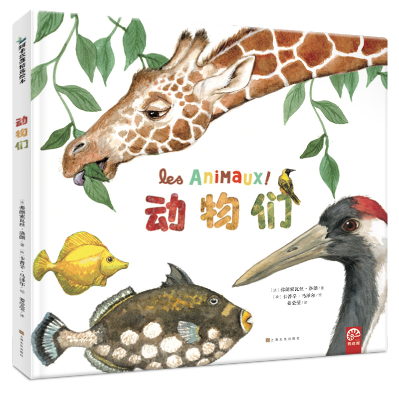 动物们(精)