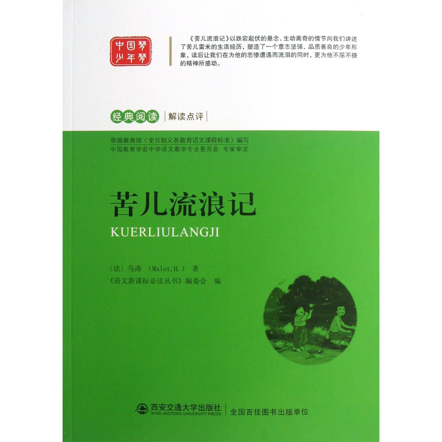 苦儿流浪记/经典阅读解读点评
