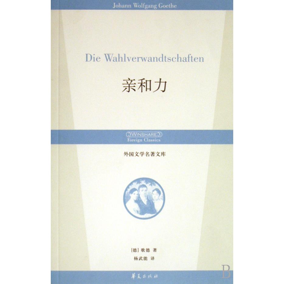 亲和力/外国文学名著文库