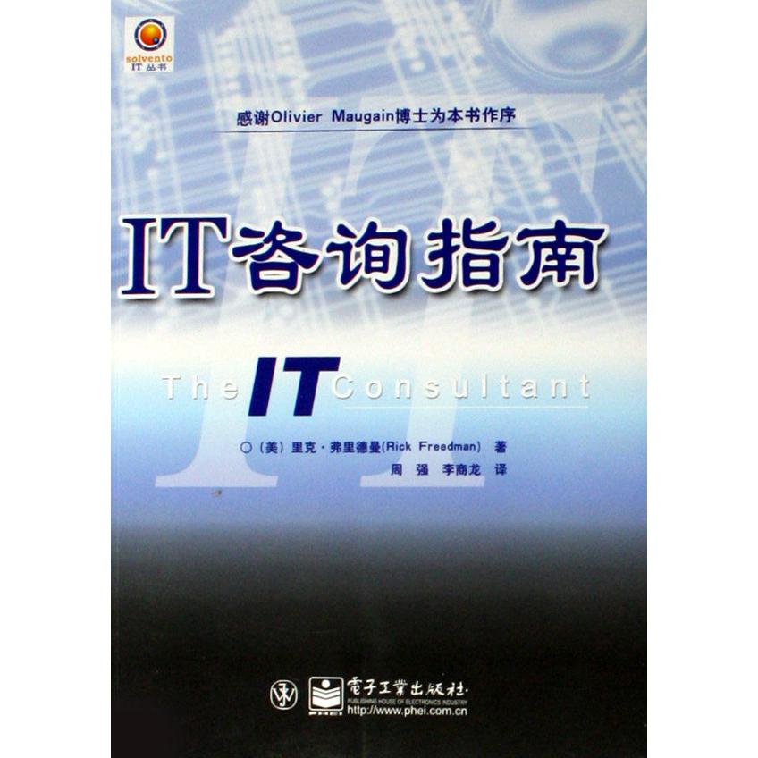 IT咨询指南/solvento IT丛书