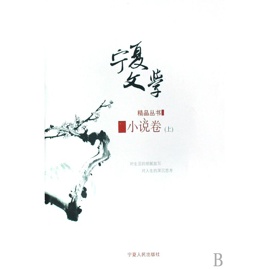 宁夏文学精品丛书（小说卷上下）