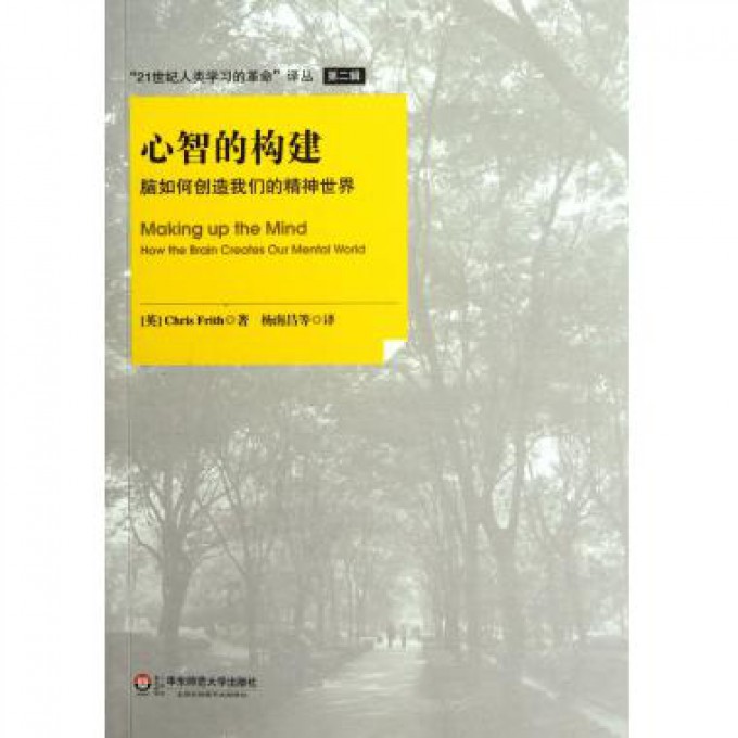 心智的构建（脑如何创造我们的精神世界）/21世纪人类学习的革命译丛