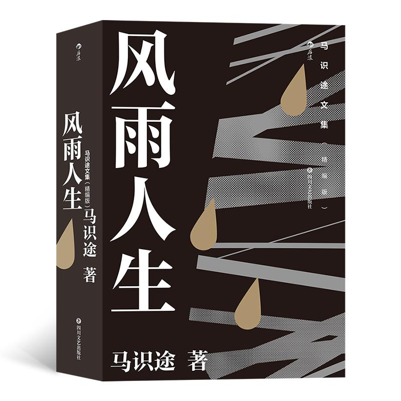 马识途文集(精编版)风雨人生