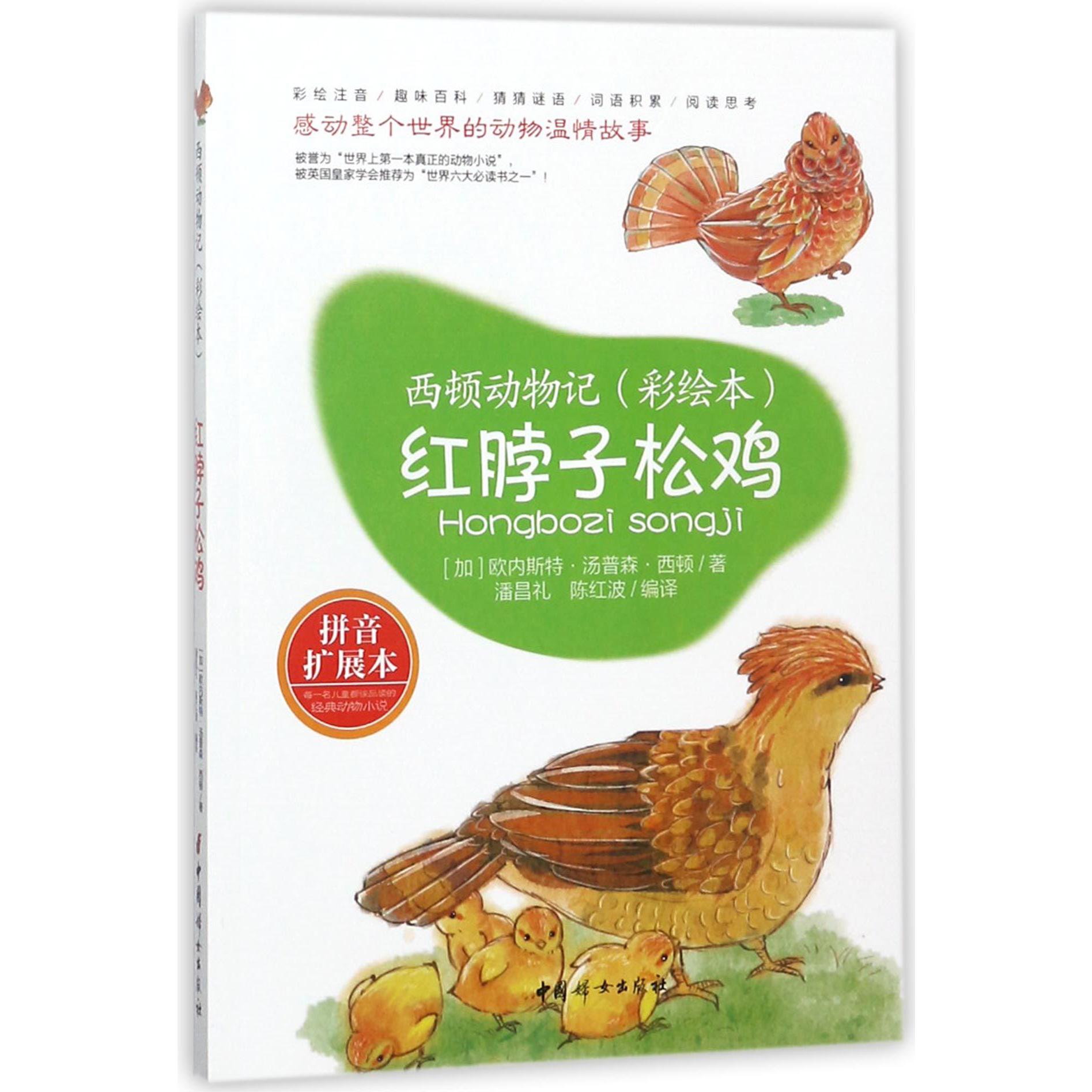 红脖子松鸡