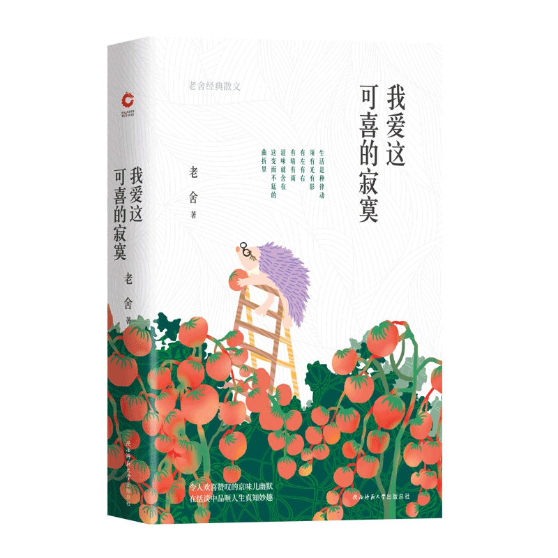 我爱这可喜的寂寞(老舍经典散文)(精)