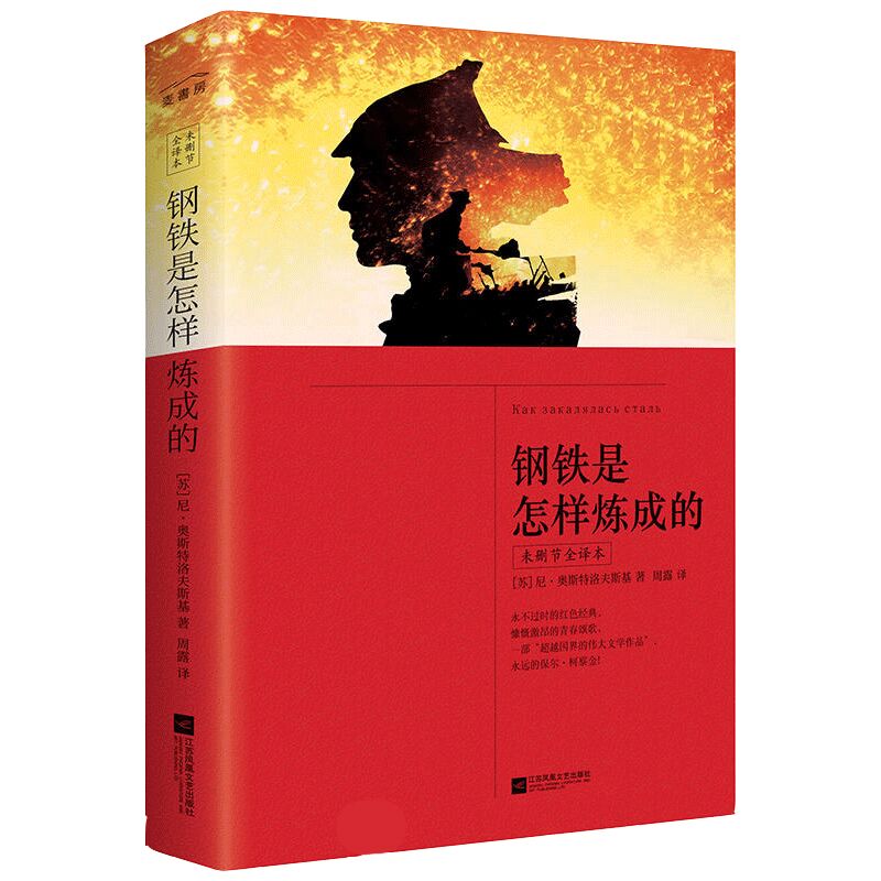 钢铁是怎样炼成的(未删节全译本)