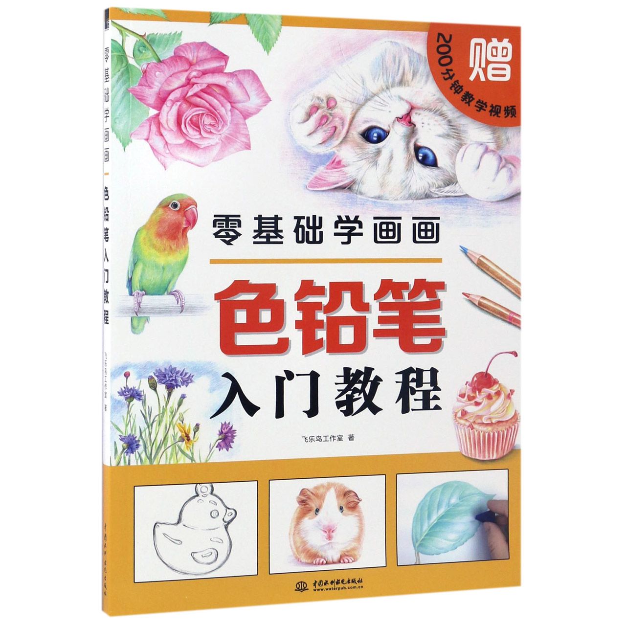 色铅笔入门教程(零基础学画画)