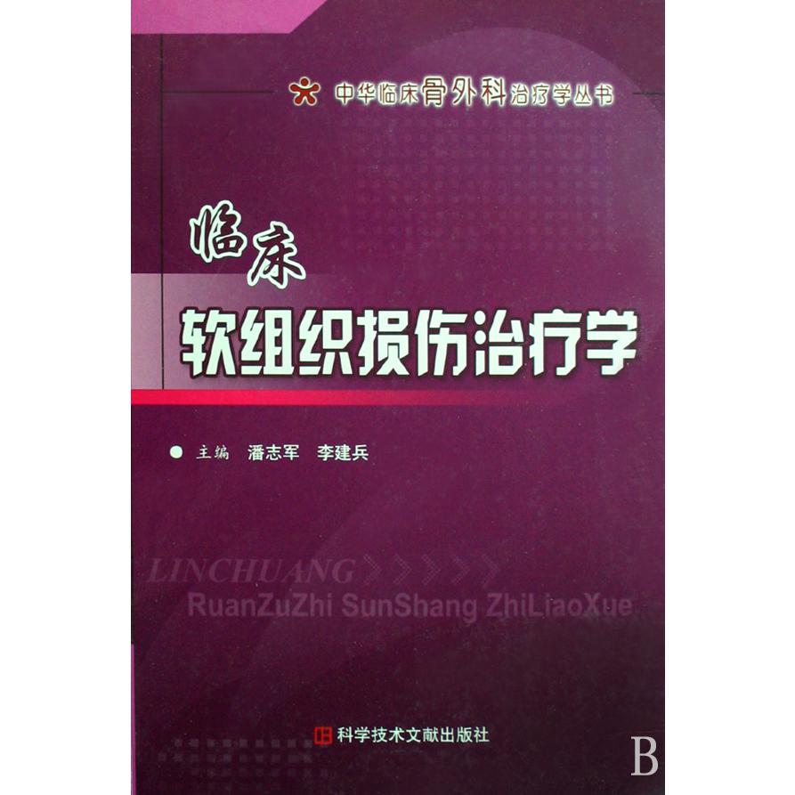 临床软组织损伤治疗学（精）/中华临床骨外科治疗学丛书