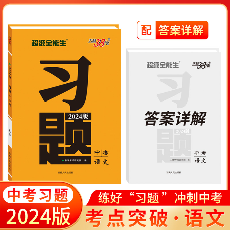 2024版 语文 习题中考 天利38套