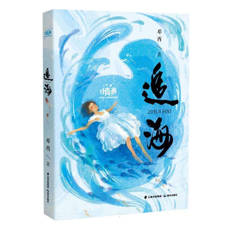 小青春——追海