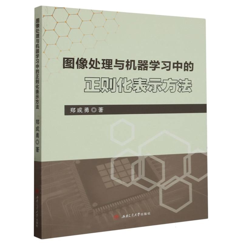 图像处理与机器学习中的正则化表示方法