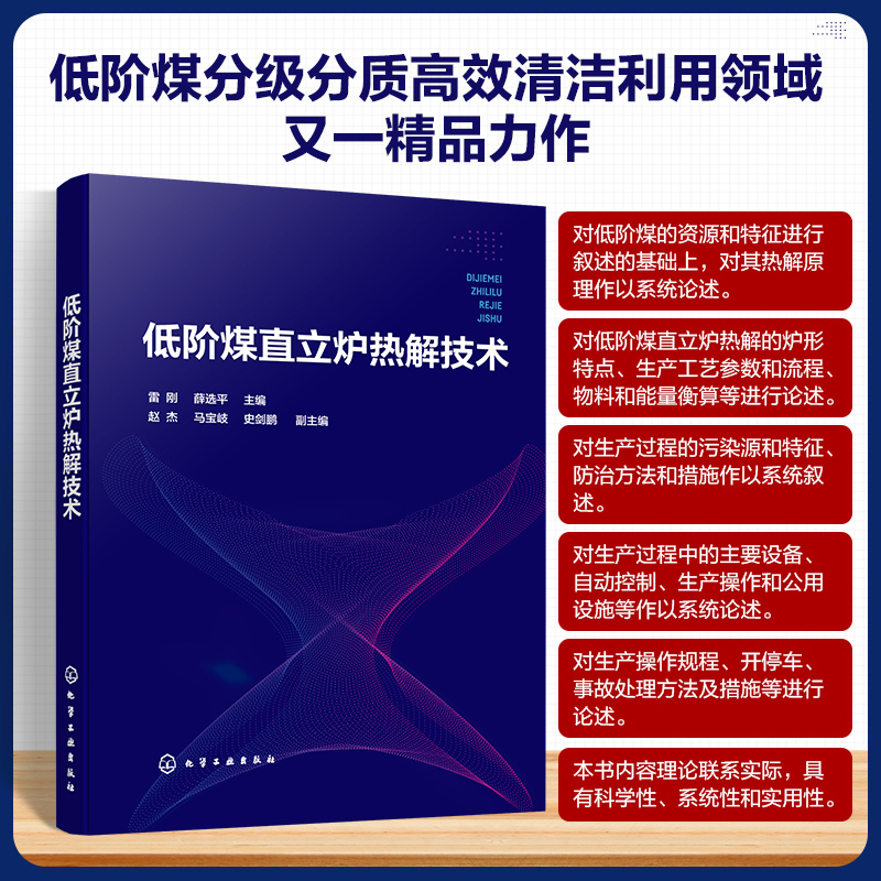 低阶煤直立炉热解技术