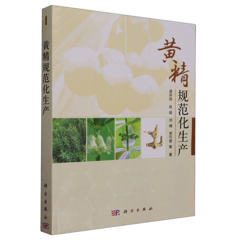 黄精规范化生产