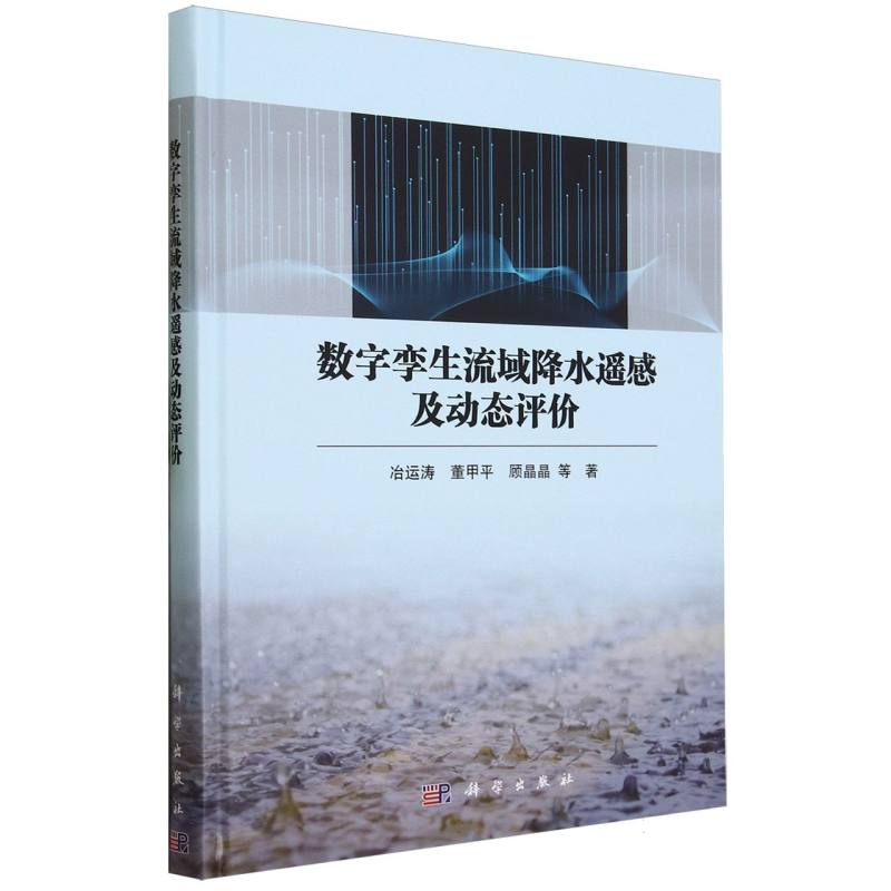 数字孪生流域降水遥感及动态评价