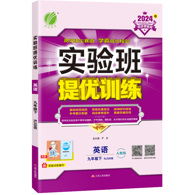 实验班提优训练 九年级英语(下) 新目标 2024年春新版