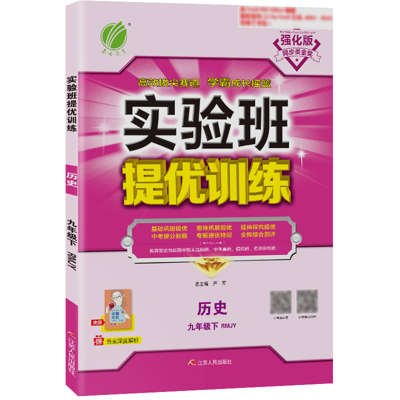 实验班提优训练 九年级历史(下) 人教版 2024年春新版