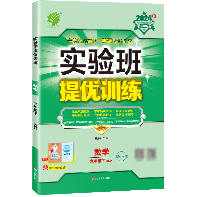 实验班提优训练 九年级数学(下) 北师大版 2024年春新版