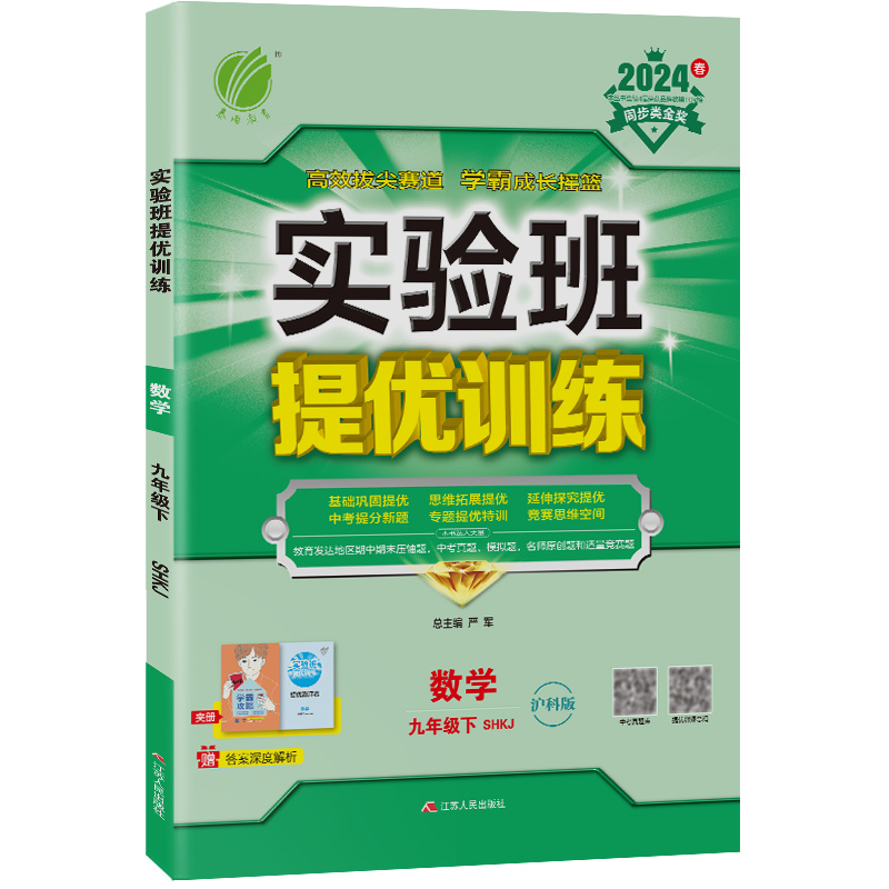 实验班提优训练 九年级数学(下) 沪科版 2024年春新版